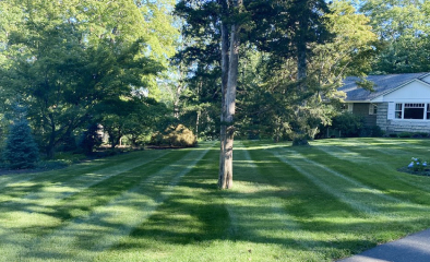 Connecticut Lawn Maintenance